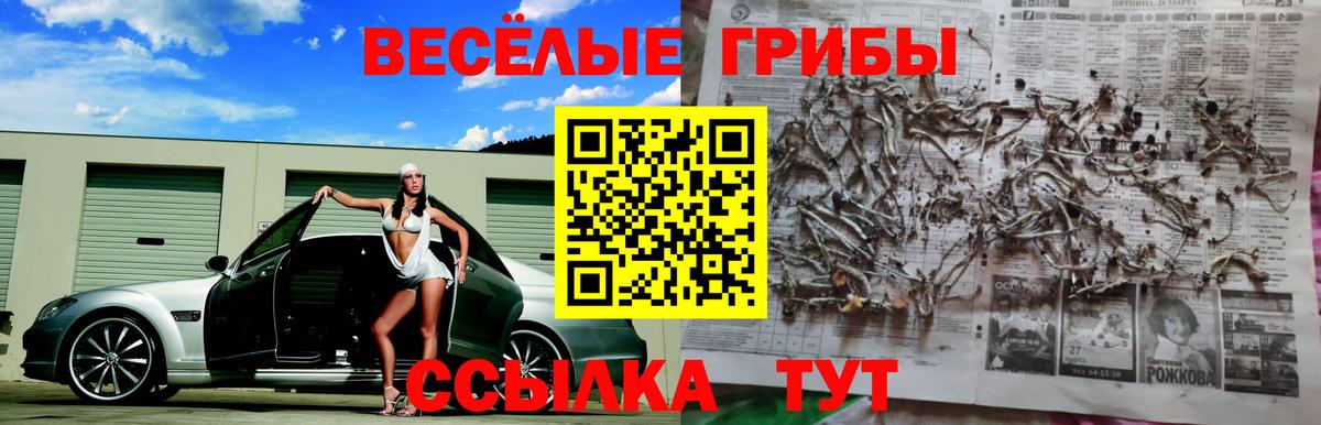 Галлюциногенные грибы прущие грибы  Вход с VPN  Большой Камень  Псилоцибиновые грибы ЛСД 